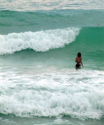 Fearless Chick in the Ocean...