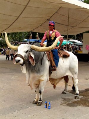 Posing on Bull, Tepozotlan