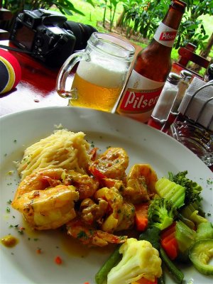 Light Lunch With Miniature Shrimps, Arenal Volcano