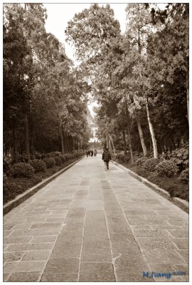 Ling Gu Temple - Main Path