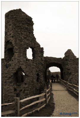 Pevensy Castle Gate