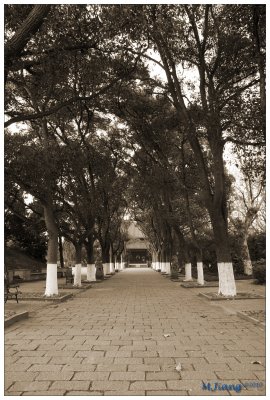 Temple Entrance