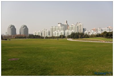 Century Park Grassland