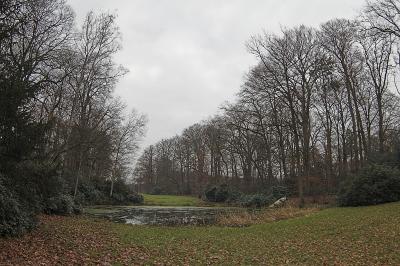 IMGP6420-02.jpg