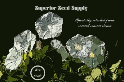 seed-package.jpg