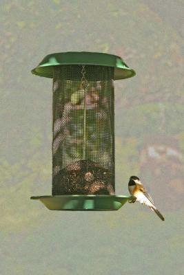 Penfield-Feeder-2.jpg
