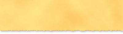 torn-paper.jpg