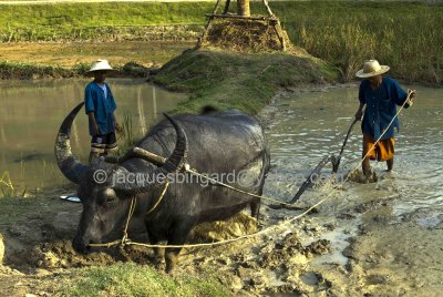 Ploughing