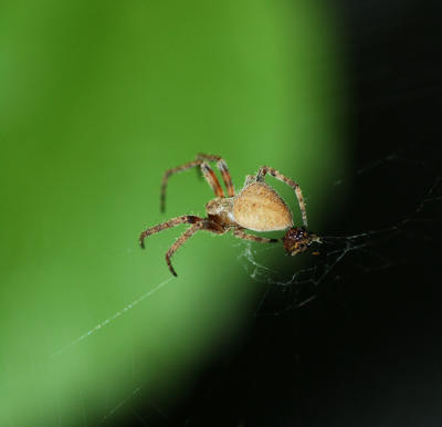 DSC_9062.jpg