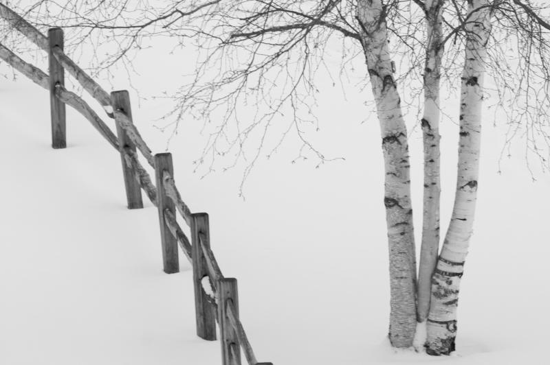 Tranquility II