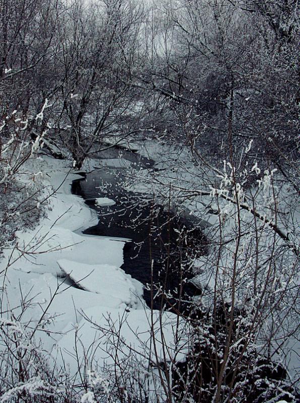 January 2006 Winter Wonderland
