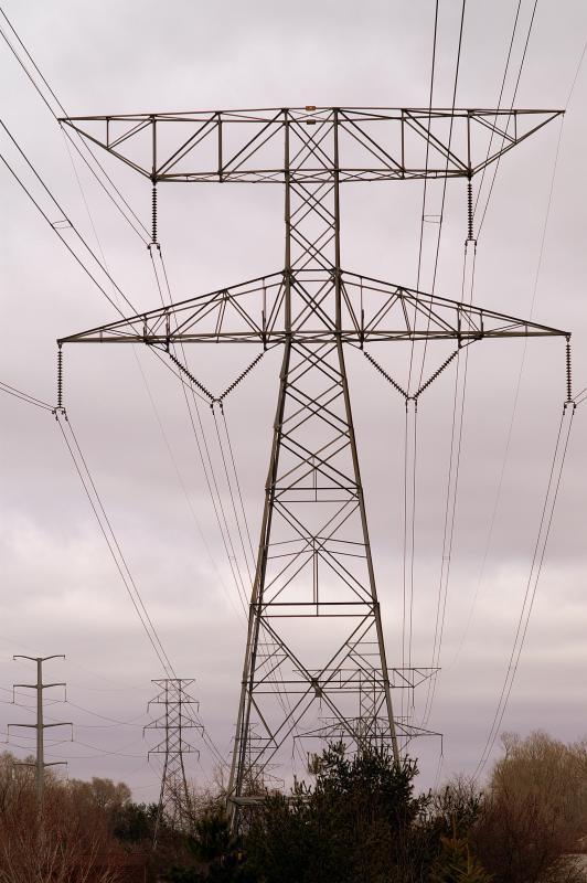 Electric Tree April 3, 2006