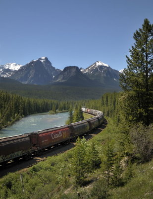 bow river.jpg