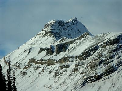 g3/73/487673/3/54602595.icefields01.jpg