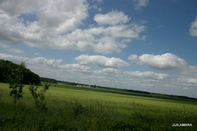 g3/73/492673/3/121361743.bDOHTUkI.jpg