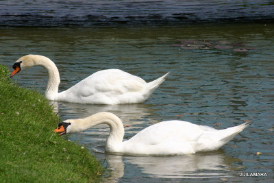 g3/73/492673/3/121364850.Qe0x9Gel.jpg