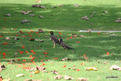 IMG_5034.JPG