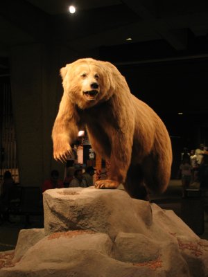 Grizzly Arch Museum