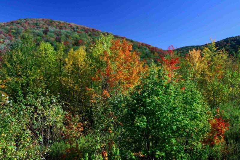Early Colors in Sugar Creek Hills tb1009uvx.jpg