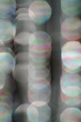 Icotons Aligned in Random Rows tb0109ar.jpg