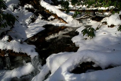 Wintry Armsrtong Run Stream Scene tb0209nr.jpg