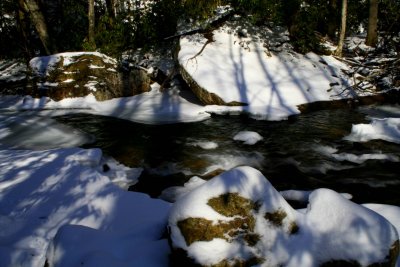 Winter Swifts and Snowy Stones tb0209kr.jpg