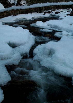 Lil Swifts in Icy Stream v tb0209mr.jpg