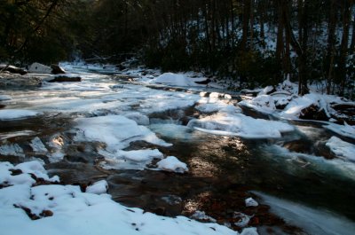 Frosty North Fork Backlit Stream Scene tb0209bgr.jpg