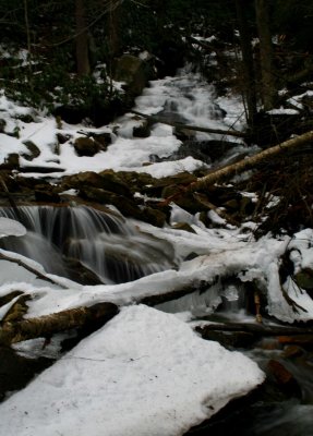 Upper Windy Stream Snow Melt Scene v tb0209bm.jpg