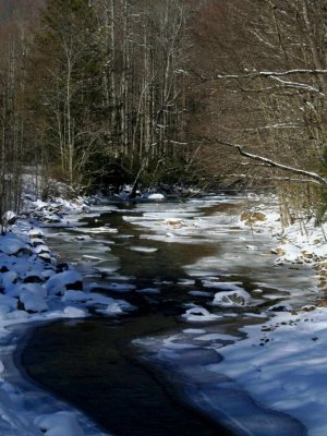 Sunny Stretch Wintry Cherry River tb0309mxr.jpg