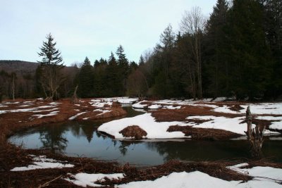 Snowy Hills Creek Curling Stream Scene tb0209bxr.jpg