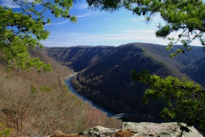 Blue Sky and Pines on New River Valley th0309ahr.jpg