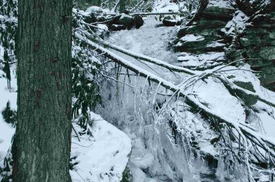 Wintry Stream Scene by Hemlock tb0210acx.jpg