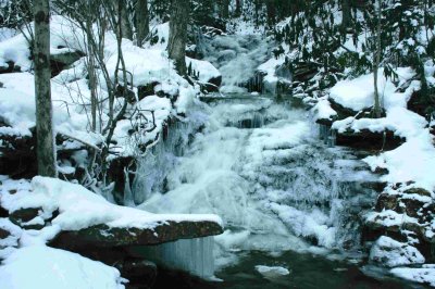 Lower Windy Run Ice Water Scene tb0210agr.jpg