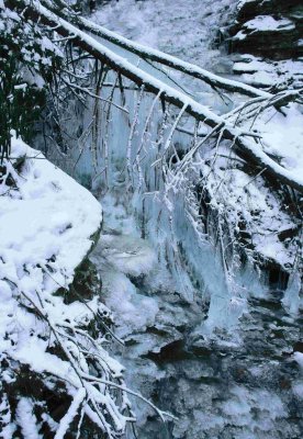 Nice Ice and Snow Stream Scene tb0210afr.jpg