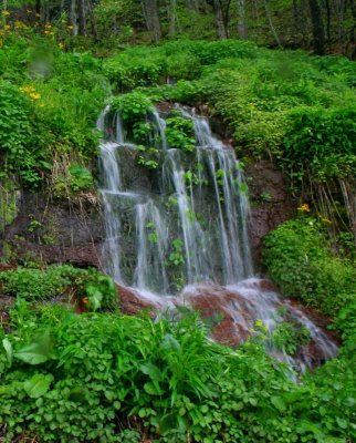 Waterfalls on Wall of Spring Foliage v tb0409gaax.jpg