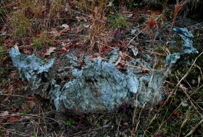 Old Stump Decomposing in Arid Field tb0509wfx.jpg