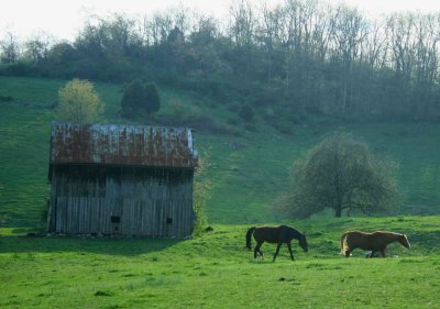 New Life in West Virginia Mountains