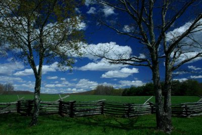 Trees by Chesnut Fence and Perfect Sky tb0514hax.jpg