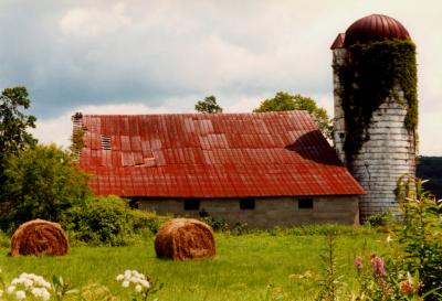 Glade Creek Barn w-Silo - Summer tb0797.jpg