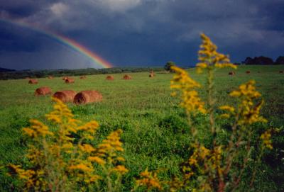 Rainbow Left Field near Millpoint tb0800.jpg