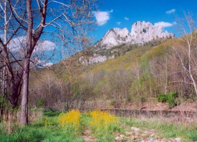 Seneca Rocks E View Near River CR tb0505.jpg