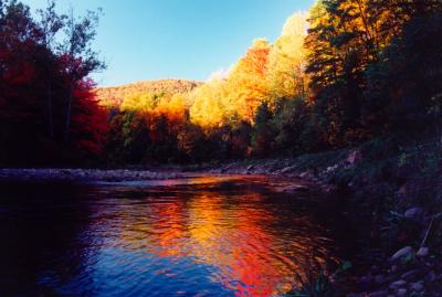 South Fork Color Curve Reflection tb1098.jpg