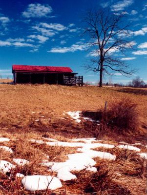 Spring Barn Scene - Snow Melting Jerico Rd v tb0307.jpg