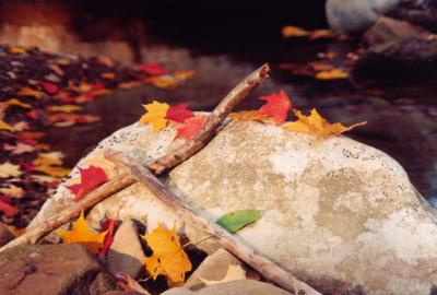 Rocky Run Stream - Nice Fall Colors tb1098.jpg