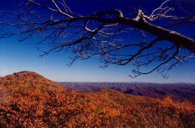 High Rocks Fall East View  Limbs tb1002.jpg