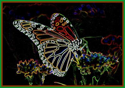 Monarch Butterfly in Goldenrod Csk DbBrd TB0905.jpg