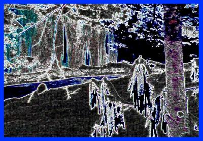 Blue Ice - North Fork Cherry CSK Bbrdr tb0199.jpg