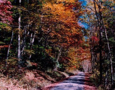 Cranberry Road by River - Autumn CR tb1007.jpg