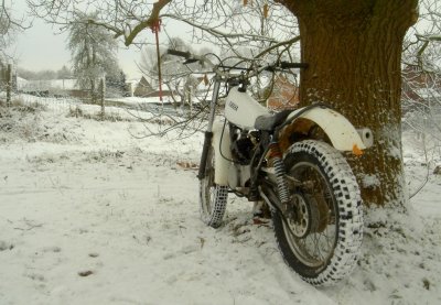 januari 2010 - tuin